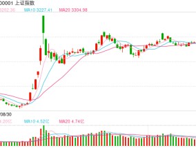 杨德龙：政策利好有望不断加码 沪深两市放量大涨