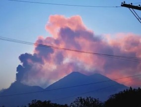 高架输电线或是洛杉矶山火源头