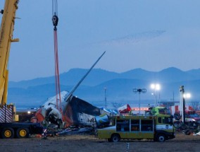 韩国空难调查关注鸟击和起落架 对逾百架在役波音737-800启动特别检查