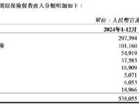 中国人保：2024年人保财险原保险保费收入5380.55亿元 同比增长4.3%