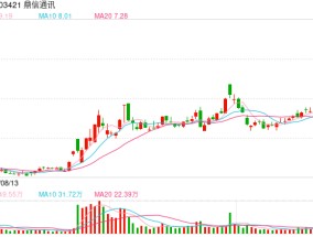 连遭两大电网“拉黑”，营收恐减少几十亿元！股价五涨停后又跌停