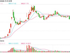 东北证券2024年净利润同比增35.07%，春节前实施三季度分红