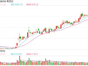 寒武纪公布2024年业绩预告，第四季度有望单季度扭亏！最新回应