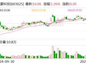 大豪科技：控股子公司兴汉网际正式挂牌新三板