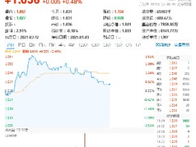 稀土逆市活跃！有色龙头ETF（159876）盘中上探2．5%，广晟有色触板，机构：或开启稀土磁材成长大年