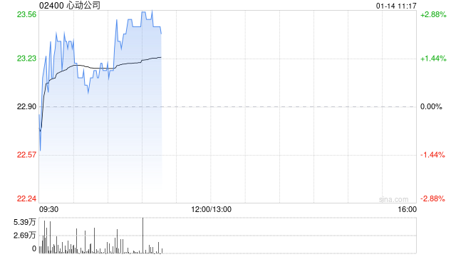 心动公司授出合共约25.87万份购股权